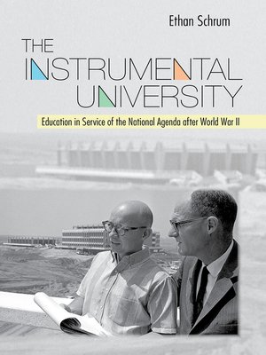 cover image of The Instrumental University